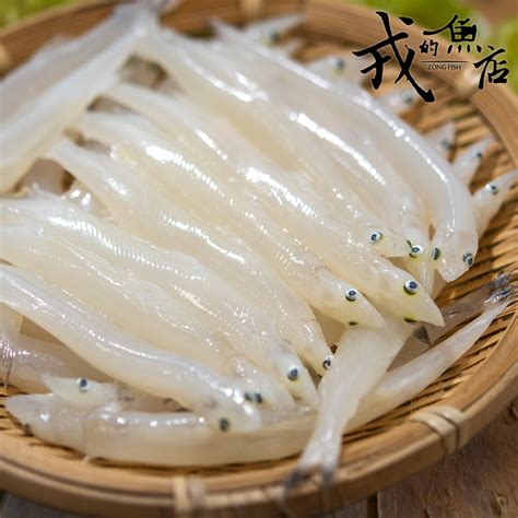 水晶魚是什麼魚|水晶魚（鮭形目銀魚科動物）